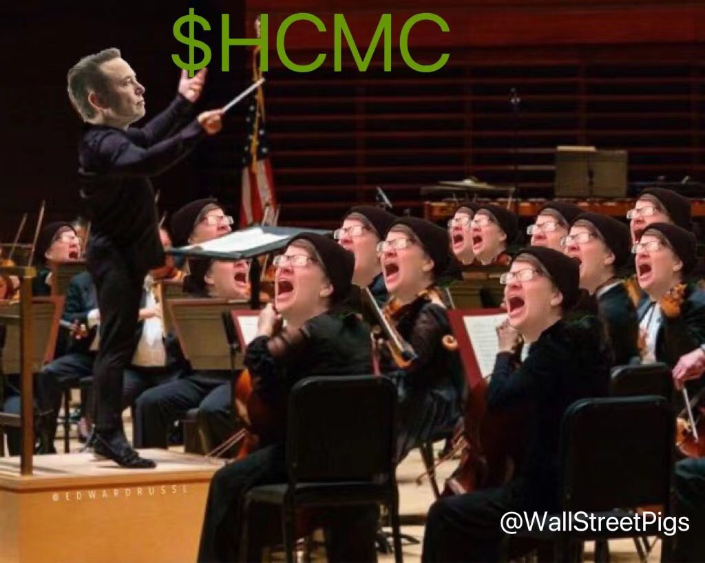 $PM deadline response in $HCMC appeal case is tomorrow, May 11. More lawsuit updates along the way; investors are like.... @elonmusk @WSBChairman @wallstreetbets https://t.co/auluAtTNjM