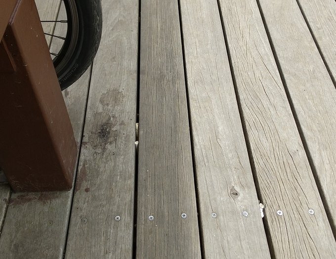 こういうバカが、一刻も早く滅びますように 