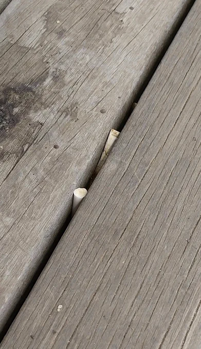こういうバカが、一刻も早く滅びますように 