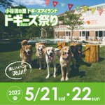 Idea dog chef(イデアドッグシェフ)のツイート画像