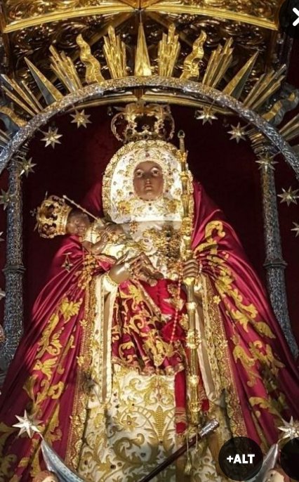 gloria rodriguez tweet media