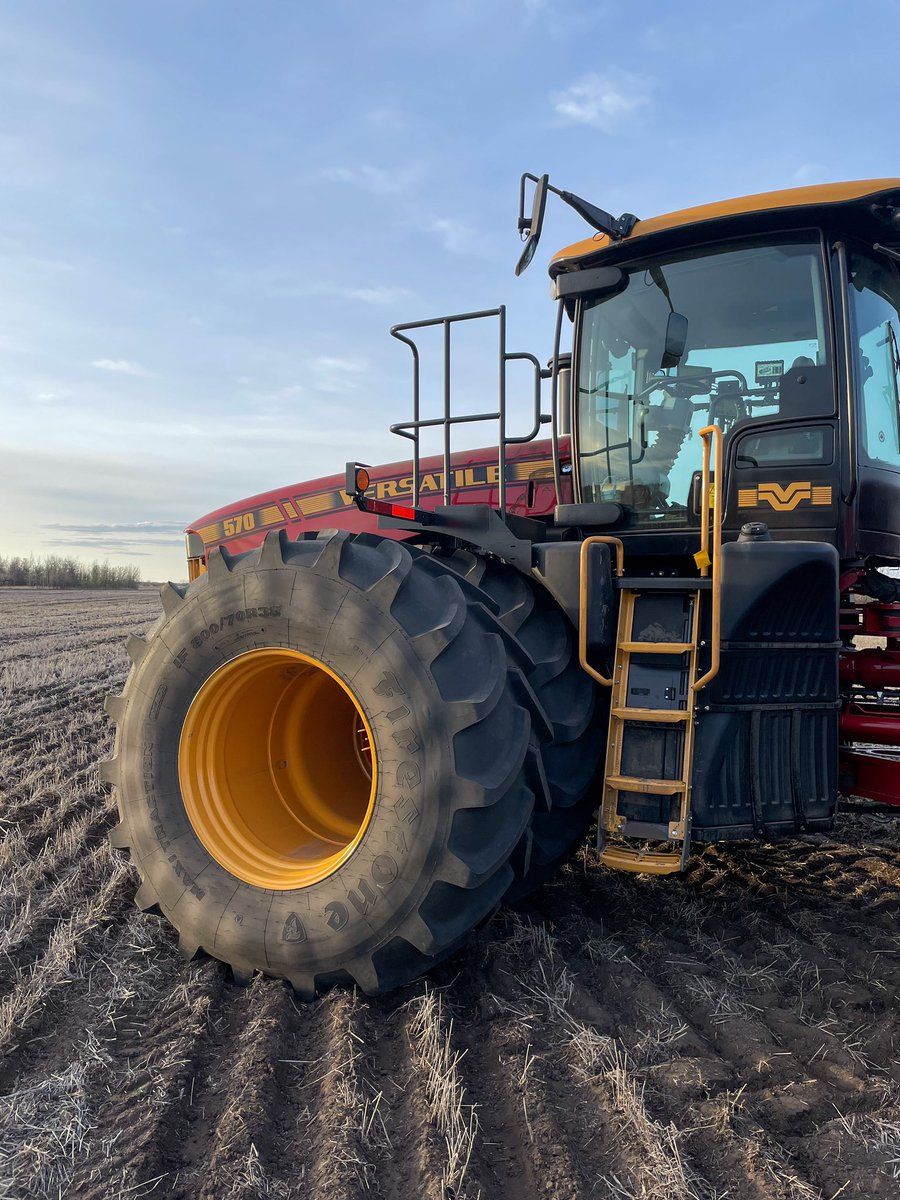 I like this picture. #Plant22