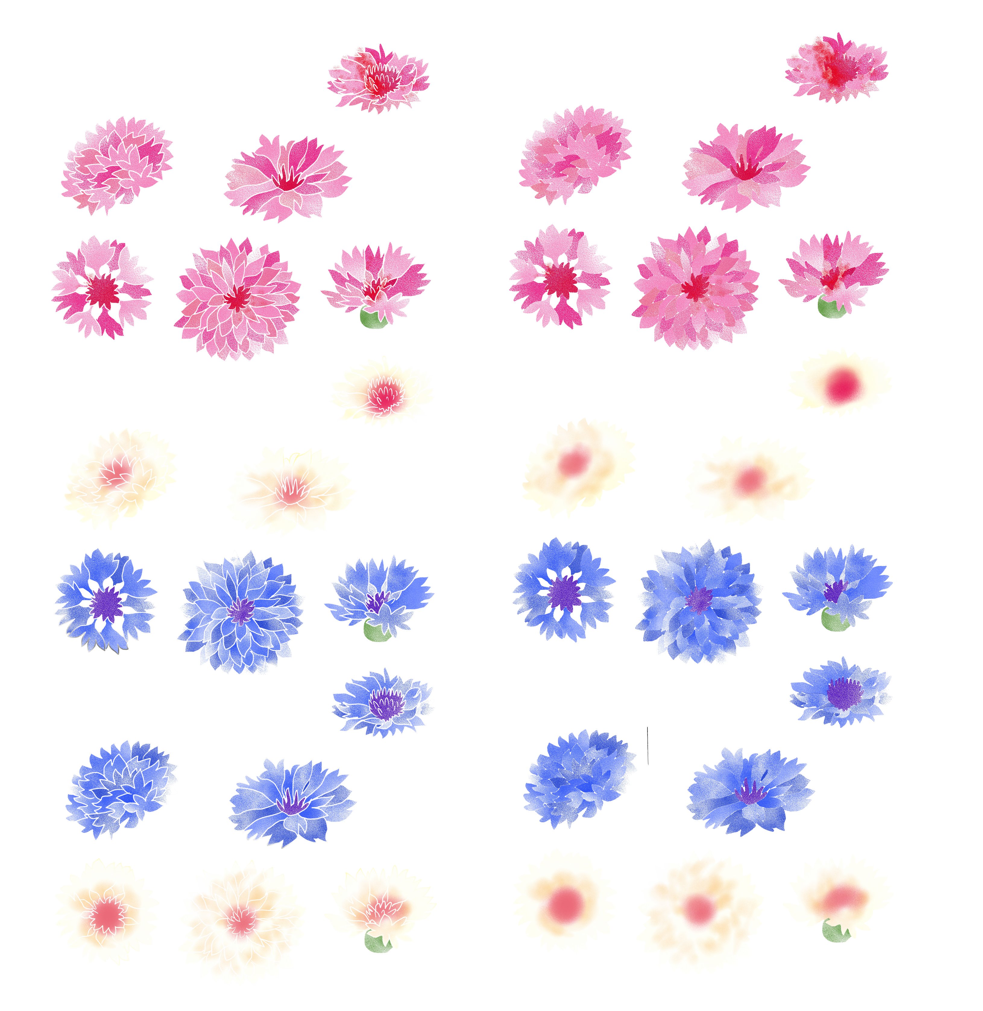 تويتر 愛ちん ゆめみ愛 على تويتر チマチマ描いたブラシ用矢車菊 左線あり右線無し 頑張って描いたけれど 花の個性が強いのであまり使いどころがないまま ﾟdﾟ T Co Ylxvm5fe5c