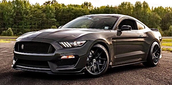 SVT_Cobras's tweet photo. #WheelsWednesday | The beauty of the Shelby GT350…🐍
#Ford | #Mustang | #Shelby https://t.co/l19pojAjSd