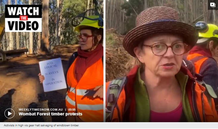 Protesters halt Wombat Forest timber salvaging: Fire bomb left ticking. See the video at bit.ly/3wlAJ8M
<a href="/theweeklytimes/">The Weekly Times</a> <a href="/protect_the_CFA/">👩‍🚒👨‍🚒🚒Protect the CFA #ScrapTheTax</a> <a href="/AFPAonline/">AFPA</a> @VicForestsComms <a href="/CeoForests/">VicForestsCEO</a> <a href="/vnpatweets/">Victorian National Parks Association</a> <a href="/GreatForestNP/">Great Forest NP</a> <a href="/VicBuilding/">Victorian Building Authority</a> <a href="/CFMEUJohnSetka/">John Setka</a>