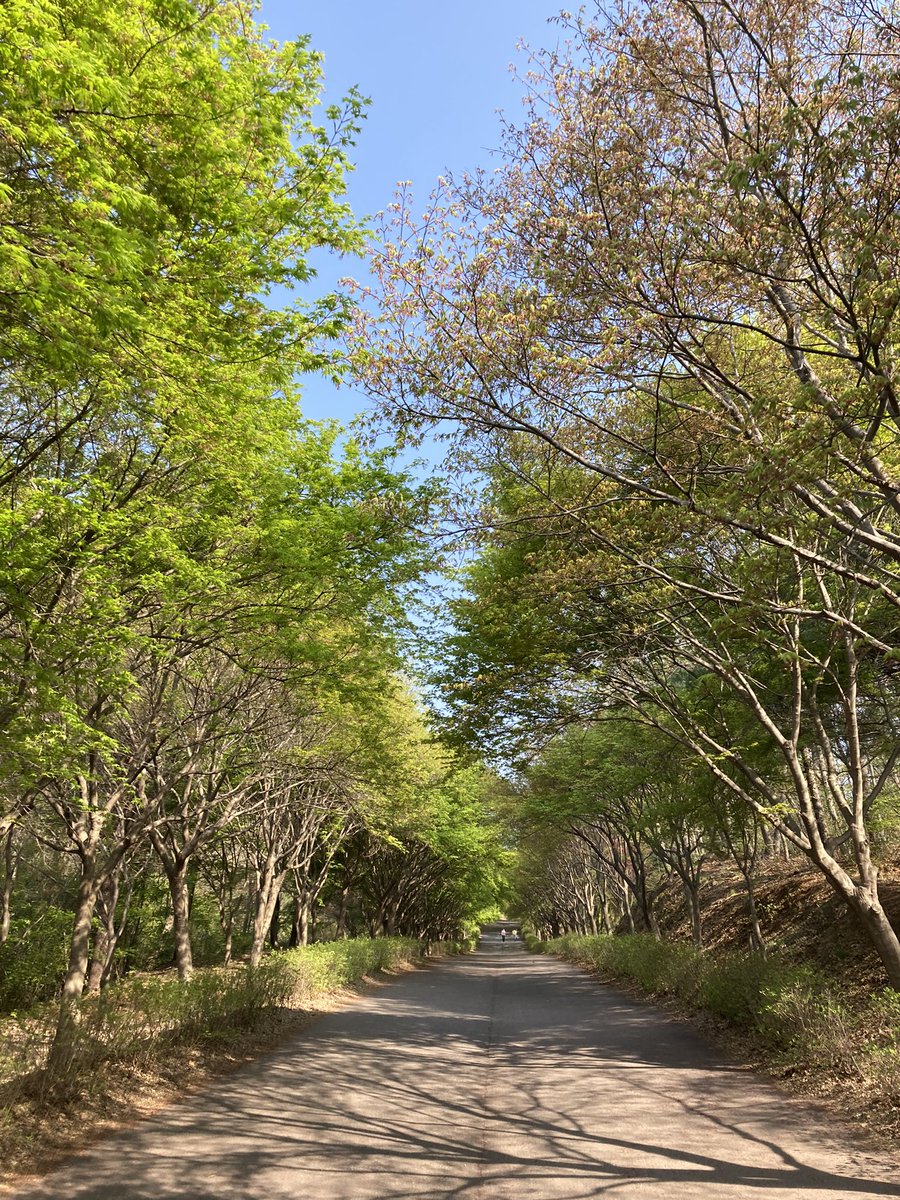 jiy_ro_drop's tweet photo. 안녕~ 봄, 어서와 여름!!
주닐아, 계란만 먹지 말고 같이 걷자~ https://t.co/a4Y8REISCV