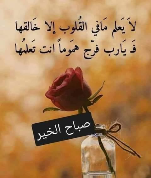 blh04472134's tweet photo. @AboabbasHassan @YoussefZaman3 وست مية فشرو https://t.co/WLuI2EZuWN