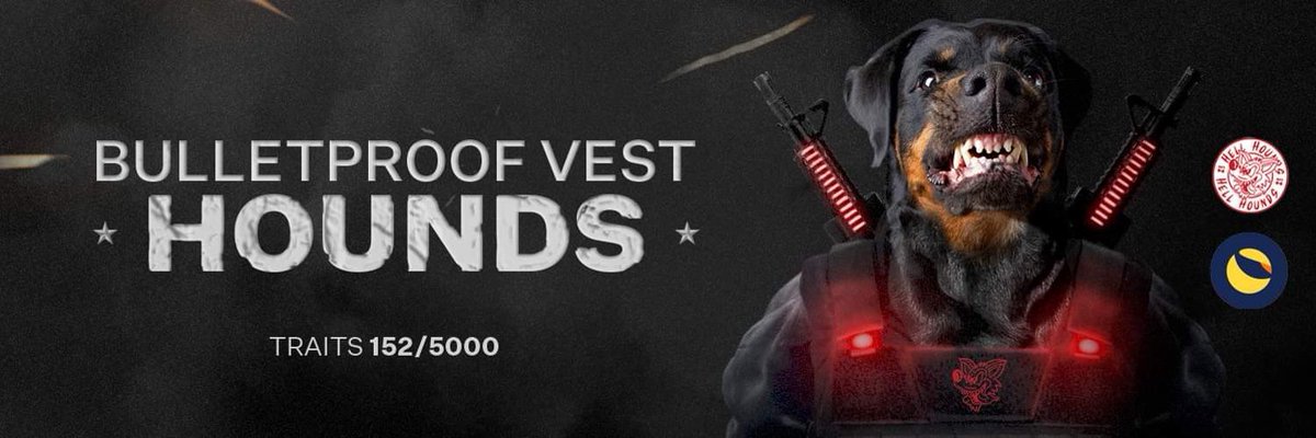 BPVHounds tweet media