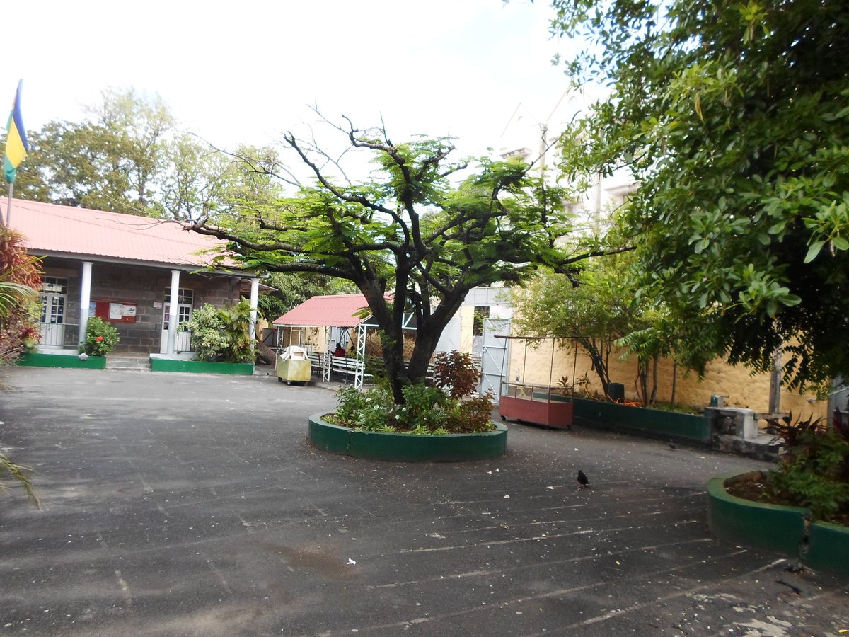 FatPhilippe's tweet photo. My Primary school https://t.co/Icxh5TSLHd