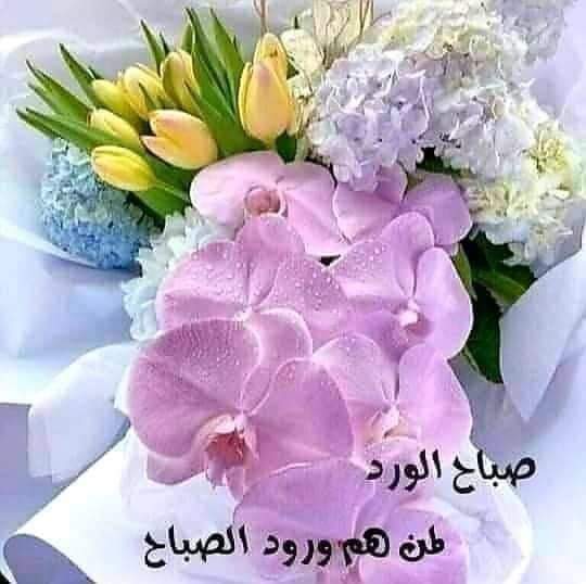 ازرعوا جنائن وردآ.وعطرا..وامنحوه..لقلب..كل.من..تصادفوه..فهذه..هي. الحياه..
صباح الخير والعافيه أحبتي