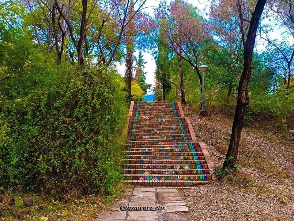 BtsKhan2's tweet photo. Beauty of Quaid E Azam University Islamabad Land of Love✨🖤
#Mini_Pakistan
#QAU https://t.co/4dQWZF7fnk