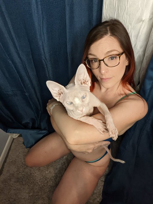 Stopping the tiny lap goblin from attacking my lights lol https://t.co/M5JvmFDPHr