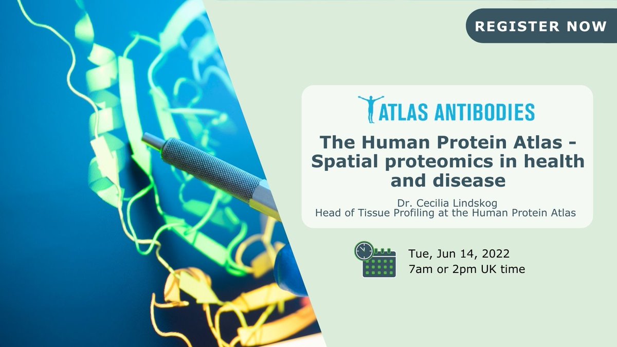CambridgeBiosci's tweet photo. Have you registered for @atlasantibodies' upcoming webinar?
There are two time slots available to hear from @DrLindskog, Head of Tissue Profiling at the @ProteinAtlas!
You can pick from either of the two times on 14th June.... https://t.co/DwCe4jVij7