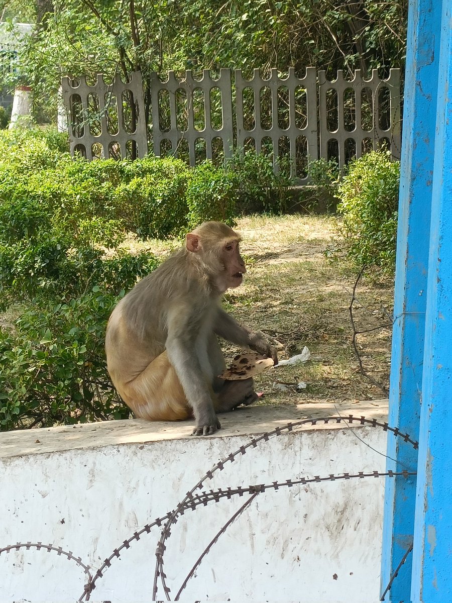 Nature service is our duty.please do it sincerly. So that God lookafter you more often.