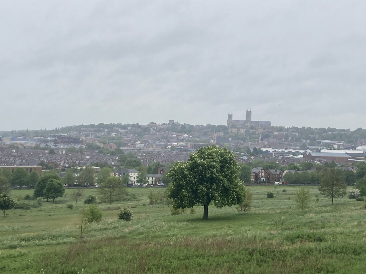 kidnapped_teddy's tweet photo. Lovely walk/jog round Lincoln South Common in the rain.

#Vegan smoothie upon return

Oats, almond milk, pineapple, banana, blueberries, flaxseed, maple syrup, amla powder, cocoa powder, pea protein 

🥛🍍🍌🫐 🍁 🌱 

#Plantbased 
#Cathedralview https://t.co/XIbWiEiIdE