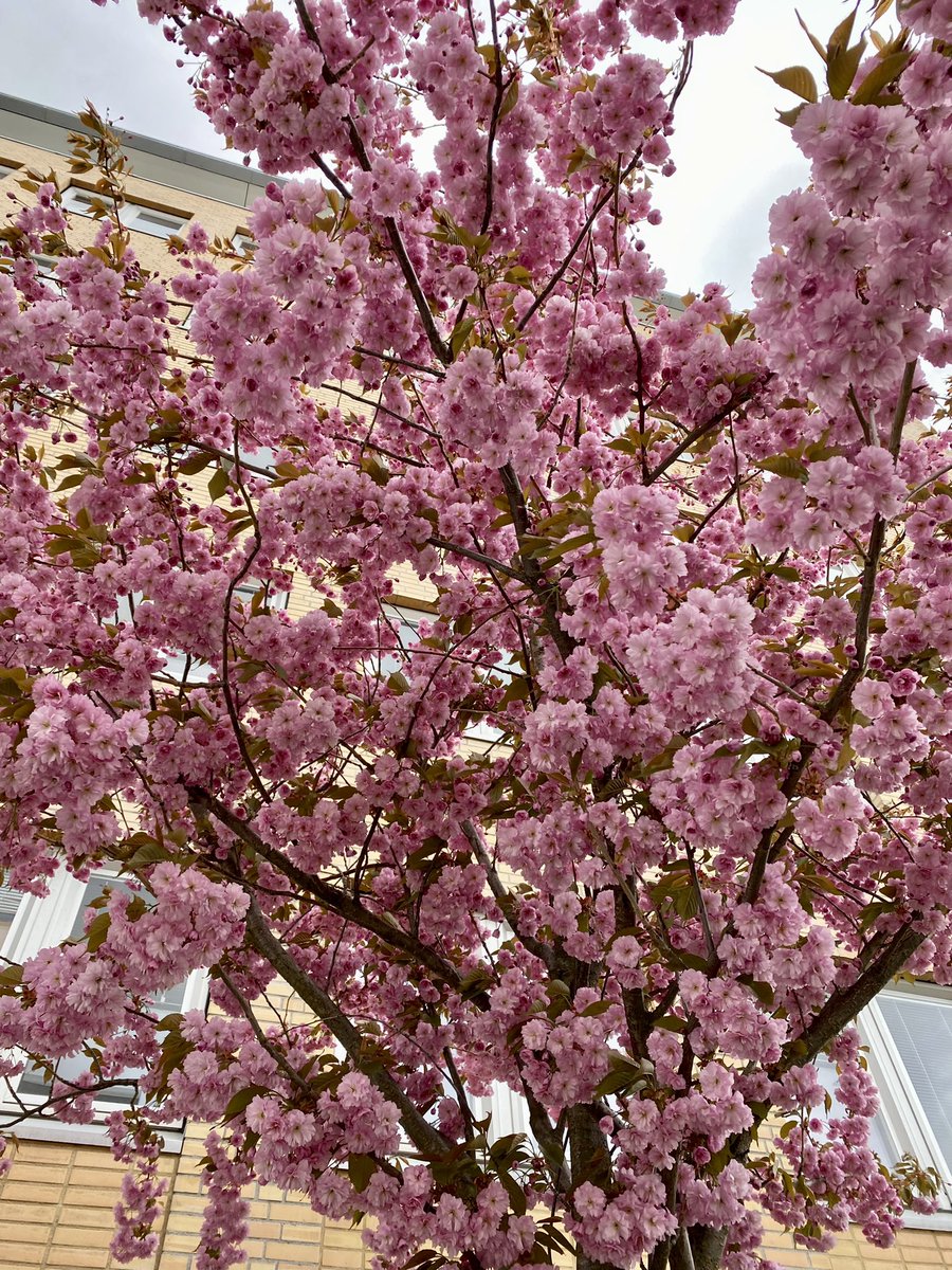 Anita Fnugg🌱🧶 tweet media