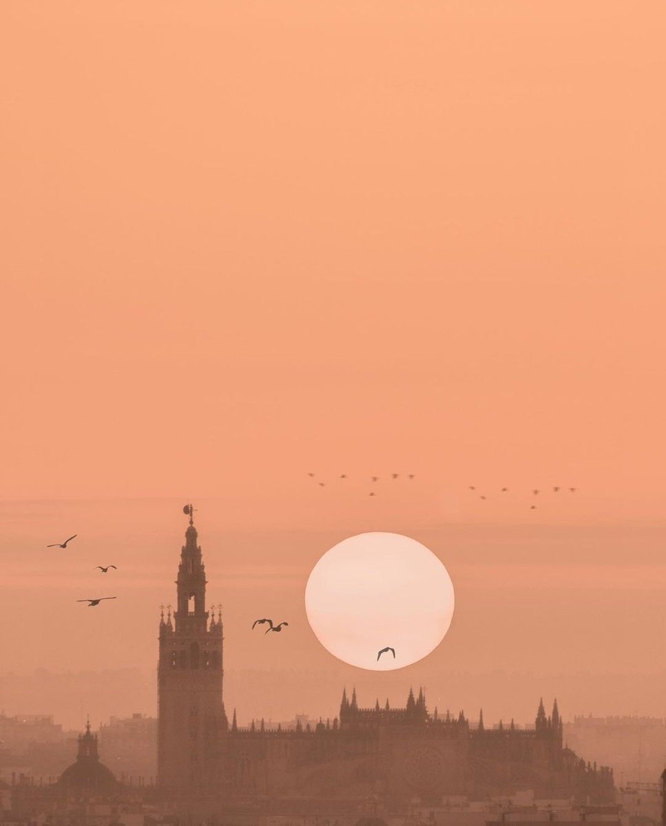 Y justo cuando creías que ya habías visto las mejores fotografías de Sevilla, aparece esta maravilla... 
📷F8yestaralli