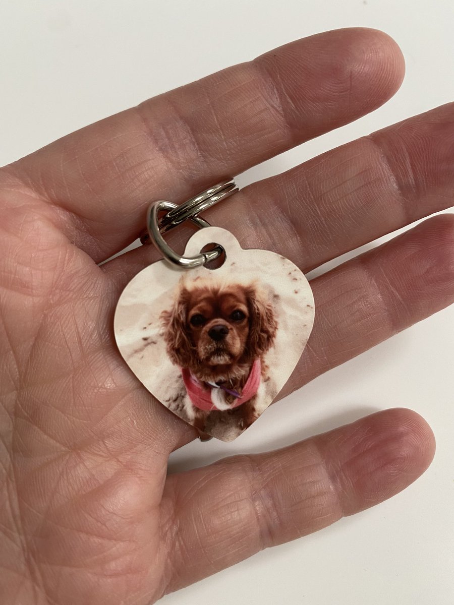MeechTOBIN's tweet photo. Happy 8th Birthday π₯³ little lady!! #rubyfromtheblock @RubyTheCav πβ€οΈ Miss this little one everyday! π https://t.co/y7ssd6RO9C