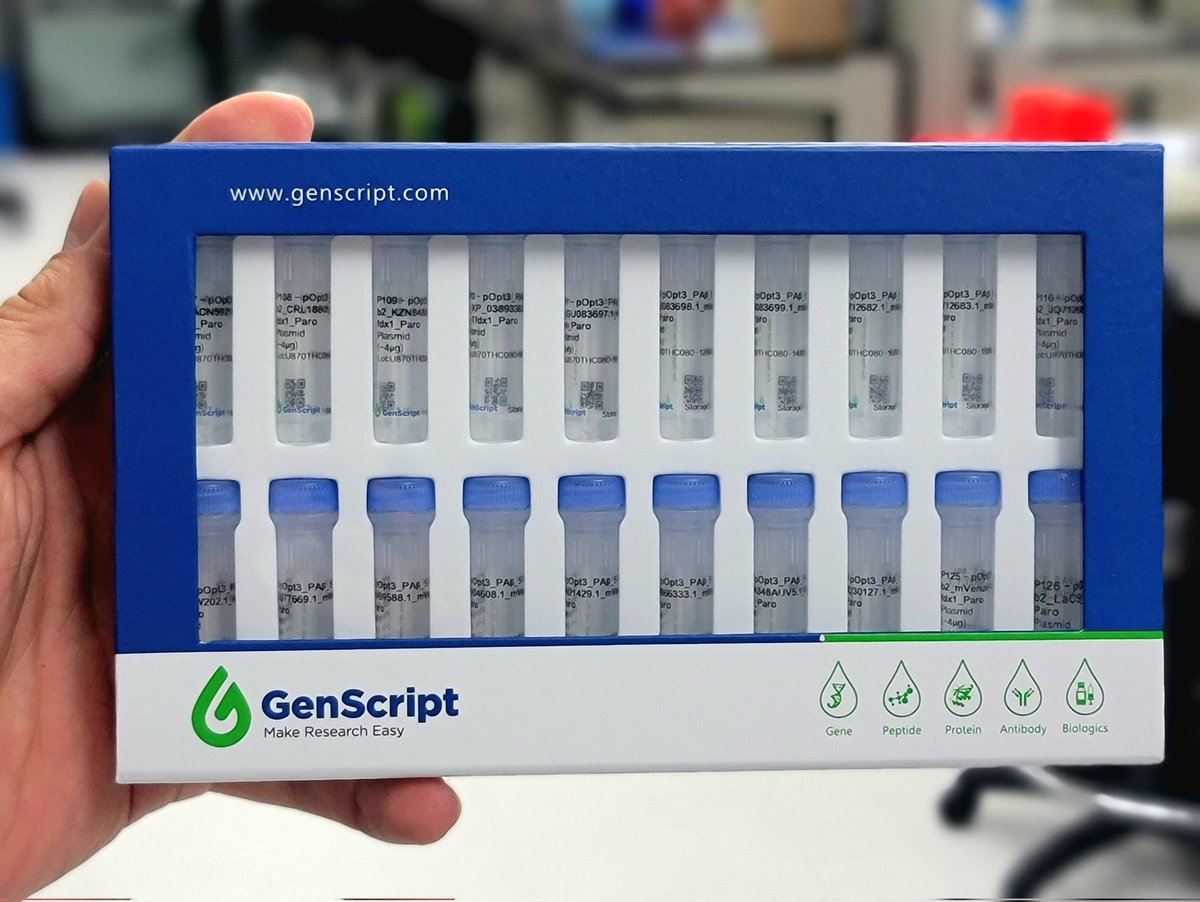 SaGutierrezz's tweet photo. Step No. 3 in the Multi-transgene expression in algae. #synbio #transgenes #algae #biotech #clonning #microalage https://t.co/EYNWs41ezl