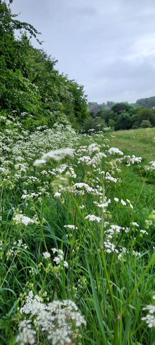 akajools's tweet image. 