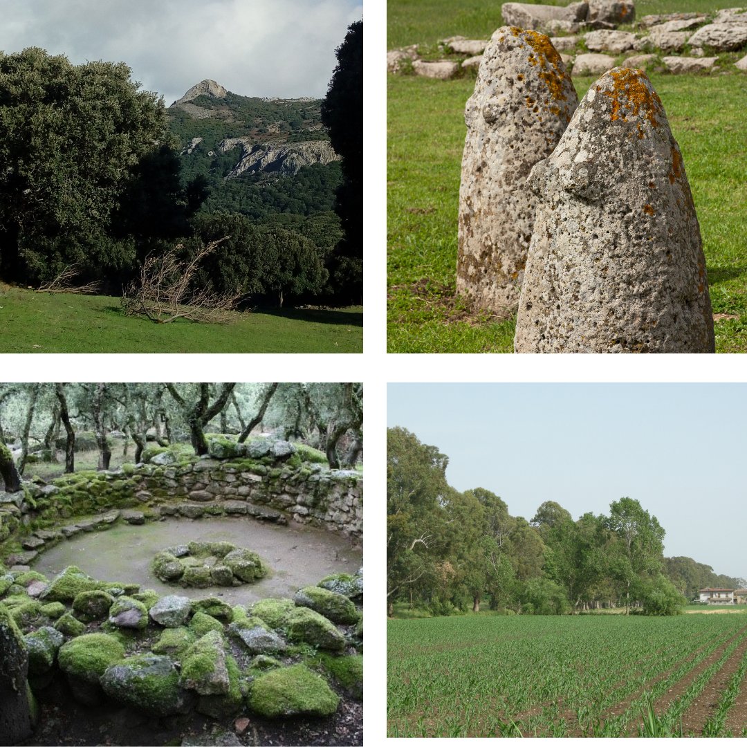 euraf2022's tweet photo. Third day of #EURAF2022 dedicated to the study visits: #Agroforestry experimental sites and enchanting Sardinian landscapes.
Live science, research immersed in nature
👇
https://t.co/Z13tQpA5sA https://t.co/hhBPY1dd74