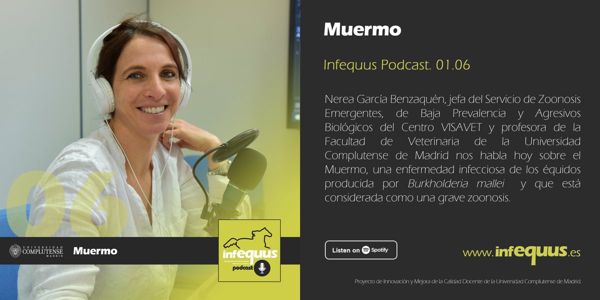 VISAVET's tweet photo. Nuevo episodio de #InfequusPodcast 🐎 Nerea García Benzaquén, jefa del Servicio NED del @VISAVET y profesora de la @VeterinariaUCM de la @unicomplutense nos habla en esta ocasión sobre el #Muermo, una grave zoonosis producida por #Burkholderiamallei.
https://t.co/XosshmNDLd https://t.co/R5jG6SrBfM