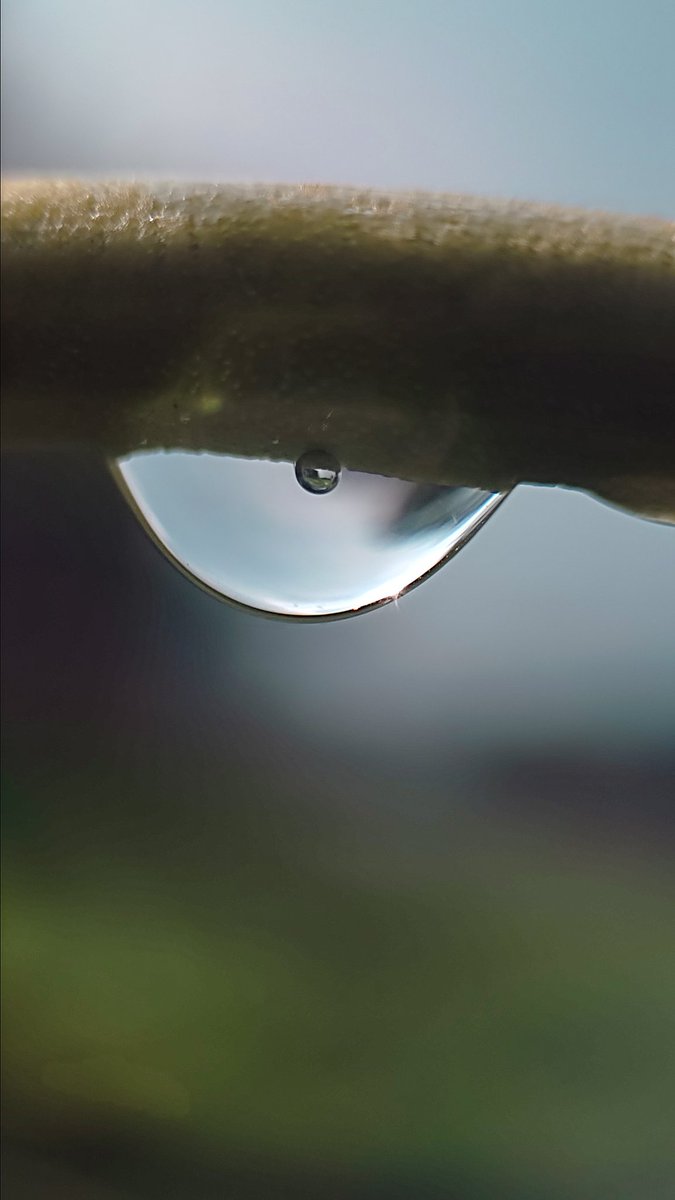 dipika_islam's tweet photo. Water drops
#waterdrop #macro #macrophotography #macromood #macrocapture #rain #mobilephotography https://t.co/xt8TXjYpNG
