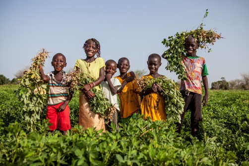 VillageAid's tweet photo. With our sister charity @UnitedPurpose we focus on the unique needs of each community we work with, making sure that our projects are #community-based and #community-led.

@floriophotoNYC https://t.co/SN1xe43aoz