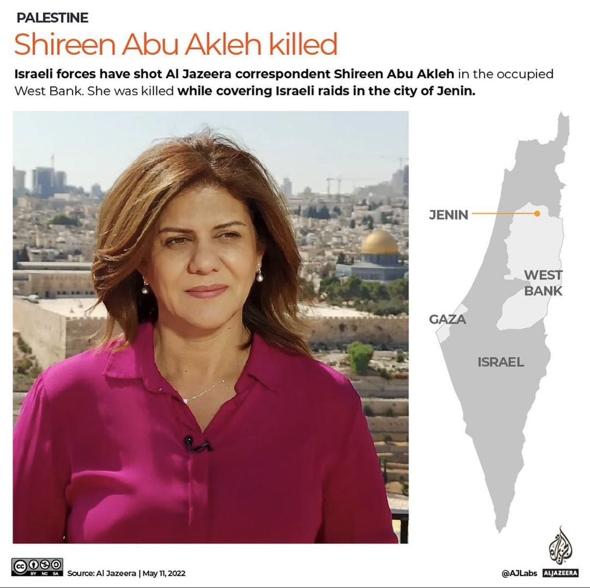 almayassahamad's tweet photo. A journalist assassinated in cold blood. Why? Because she was covering an Israeli army raid on the Jenin refugee camp when she was shot in the face by a single bullet. I call upon the international community to hold Israeli forces accountable. https://t.co/bv5bbimSp7