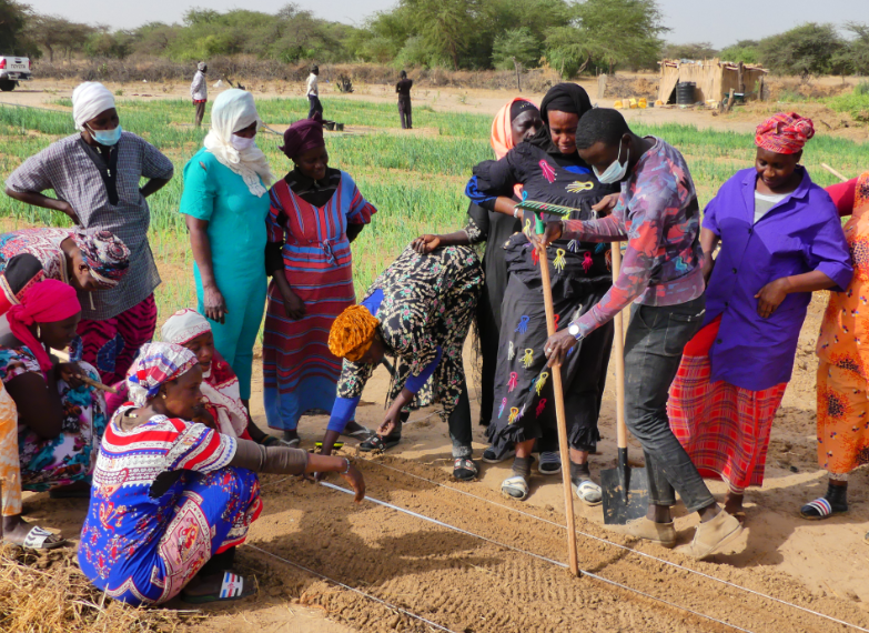 VillageAid's tweet photo. We recently provided our project participants in Senegal with funds to purchase a large quantity of peanuts to kick start their peanut oil production and continue to work during the off season.

Find out more here - https://t.co/kgNPxUbghr 

Image@JasonFlorio https://t.co/vaCxvsf4Hu