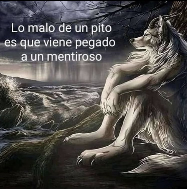 mxrtinamoreno1's tweet photo. reflexiones https://t.co/YRh0HaC1Iw