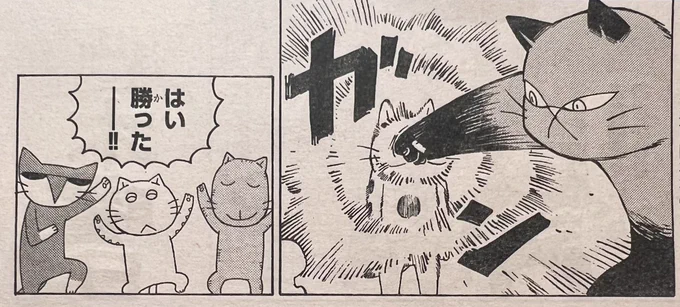 明日の「木曜日のフルット」はページ数がいつもの4倍!でスラムA地区との決戦です。
明日の週刊少年チャンピオンをよろしく。 