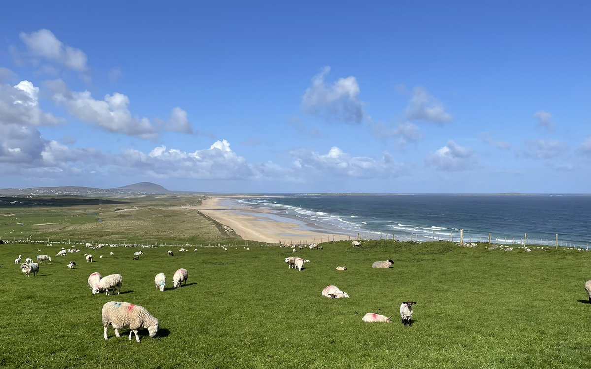 Morning views from Errarooey with Knoc Fola in the distance.  #gratitude #Donegal @100DaysOfWalkin @DonegalMaps @DiscoverIreland @ThePhotoHour @StormHour  @DonegalMaps @Failte_Ireland @DiscoverDonegal @govisitdonegal @discoverirl @CountyDonegal