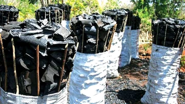 Night temperatures are high at night in West Nile not for nothing, but coz rich people &amp; humanity has not respected the trees that provides us cool ambience. <a href="/AmanzWillieONE/">Amanz Willie LESLIE.</a> <a href="/NFAUG/">National Forestry Authority-Uganda</a> <a href="/JohnUnzima/">John Unzima</a> <a href="/NCHRD_UG/">NCHRDs-UG</a> <a href="/FriendsofZoka/">Friends of ZOKA.</a> <a href="/alumaclementari/">Aluma Clement Aribo</a>