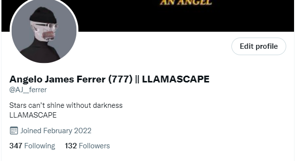 Angelo James Ferrer (777) || LLAMASCAPE tweet media
