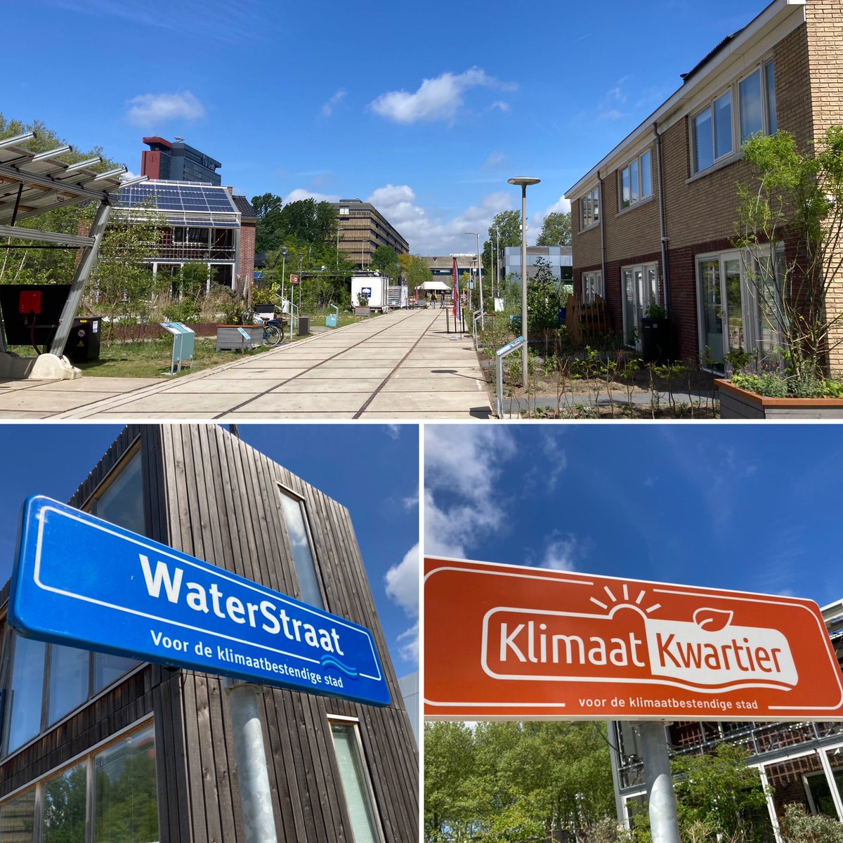 In Delft bij The Green Village, proeftuin voor innovatieve toepassingen voor klimaatbestendige bouw voor opening van ‘KlimaatKwartier’. Wetenschap, bedrijfsleven en overheden zijn hier bezig om gebouwen bestand te maken tegen hittestress, droogte en wateroverlast. <a href="/TheGrnVillage/">The Green Village</a>