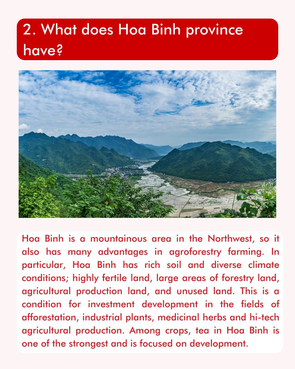 vihabavietnam's tweet photo. Hoa Binh - The long traditional land of growing tea (P1)
Follow Vihaba to get more information about Vietnam's outstanding places!
#shadesofvietnam #vietnam #vihaba #tea #teahill #teahills #growtea #teatime #travel #growingtea #teatime #nature #photography #photo #news https://t.co/vSJ8KokWCO