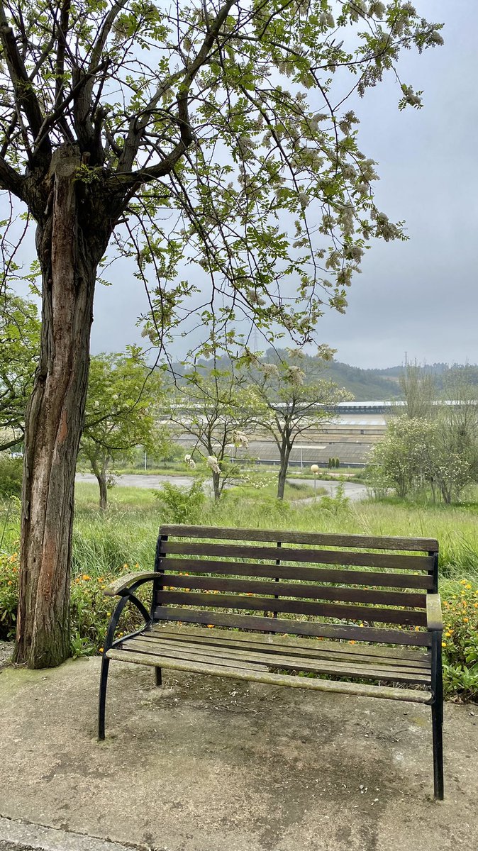 Cruzisima's tweet photo. Aquí estamos,11.30h, esperando a ver si el día abre y aparecen esas estupendas temperaturas anunciadas.. Poligono de Endasa, Gozon, Asturias Paraiso Natural….@ElTiempoA3 @eltiempotpa @aquilatierratve @tiempobrasero https://t.co/kVWlkP6nEP