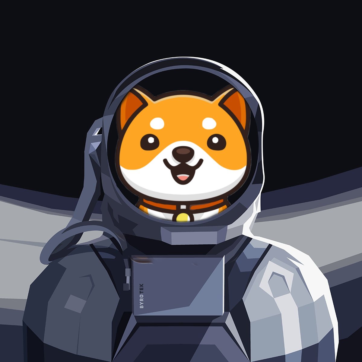 CryptoThr's tweet photo. Which Token Should i Use For My New #nft ? 

#BabyDogeCoin #kishuinu #fegtoken #shibainu #dogelon https://t.co/m9Jo7UOl4N