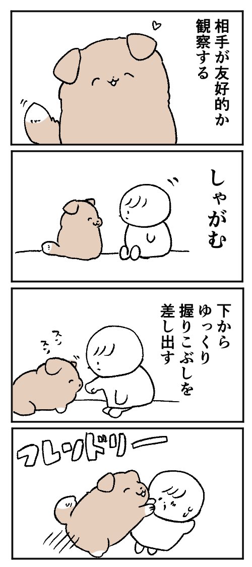 犬さんと仲良くなるための一例 