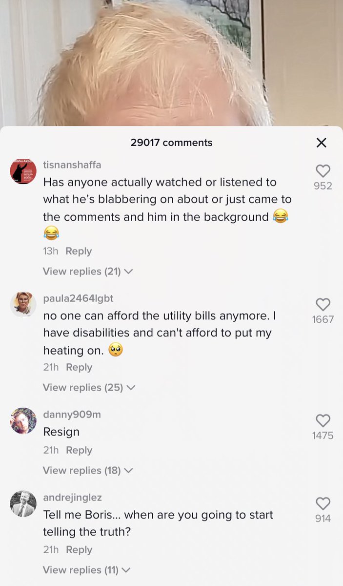Just checking in to see how Boris Johnson's new Tiktok is going down.