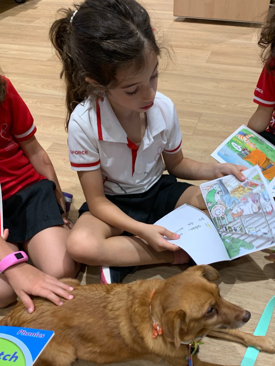 SwissIntl's tweet photo. Our EY students were joined by some very special visitors - the #readingdogs. Reading to a dog helps children relax into reading, open up, try harder &amp; have fun reading. Thank you to the @readingdogsuae team for all your support this week - the children have loved it. #reading https://t.co/FokQfYL78Q