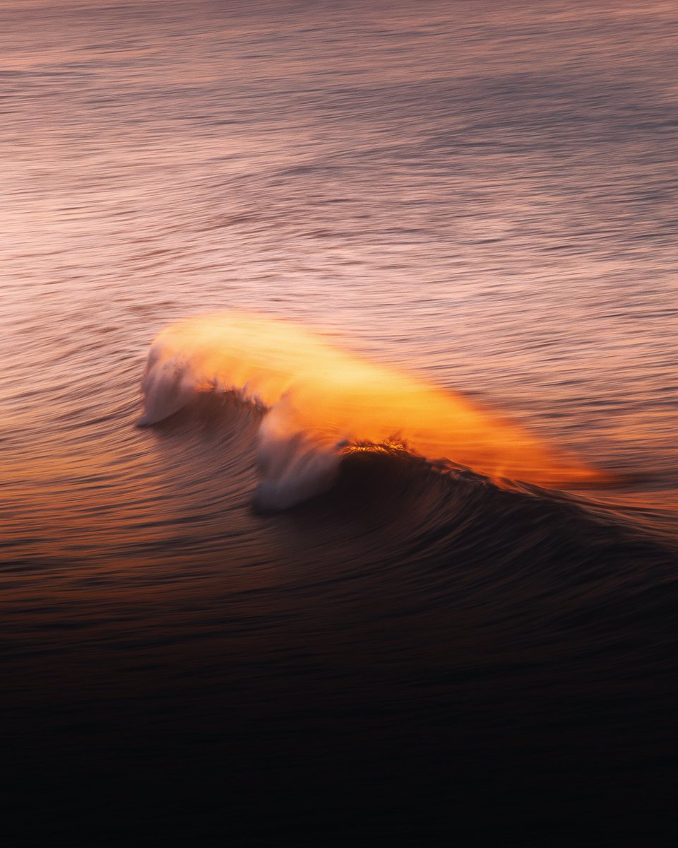 GM photographers, NFT artists and collectors 🌊