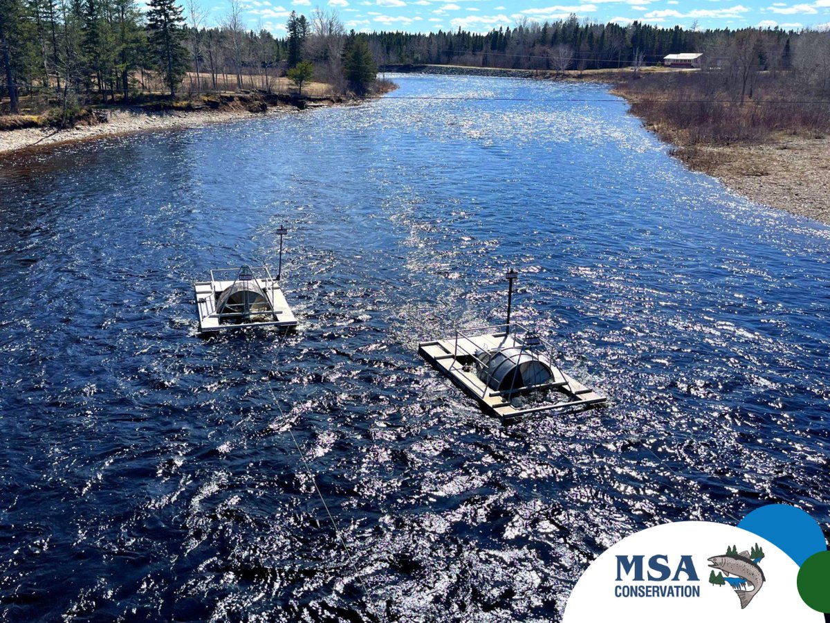 SalmonMiramichi's tweet photo. The surest sign that field season is well underway is seeing MSA’s smolt wheels on the water! Our 2022 field team is hard at work collecting and counting smolts for our annual smolt estimate. #SalmonConservation https://t.co/IRUteB32sT