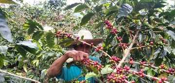 Garciac77's tweet photo. #11May |🇻🇪📢 ¡ETIQUETA DEL DÍA!  📢📱📲

✔️ #ProducirEsIndependencia 

¡Renacer de la Patria! https://t.co/xQbd2Ejg8E

@NicolasMaduro 
@AdolfoP_Oficial 
@LuisJonasReyes 
@Roos_Iribarren 
@Misiones_lara 
@SomosVDILara
@M_somosveLara 
@BonosSocial
@CarnetDLaPatria
@JuntosEmprender https://t.co/kp4J8ZxvTv