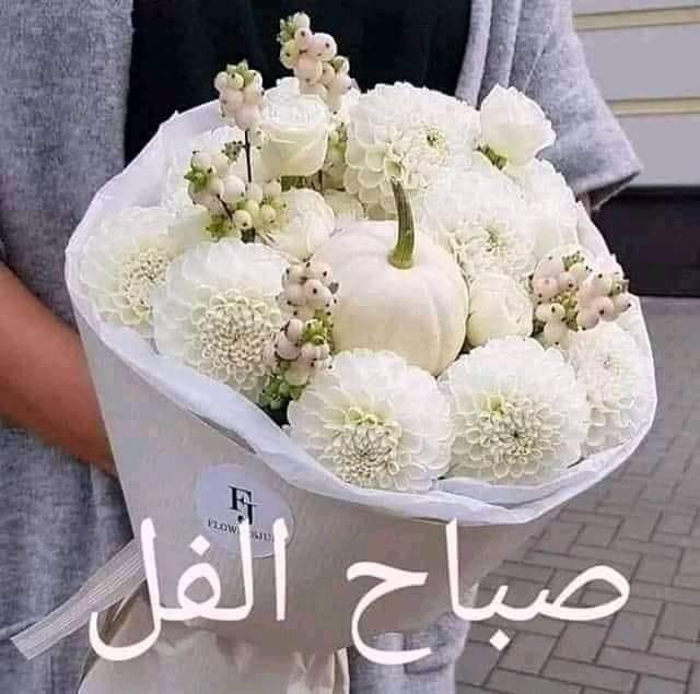 Elsaid Elaithy tweet media