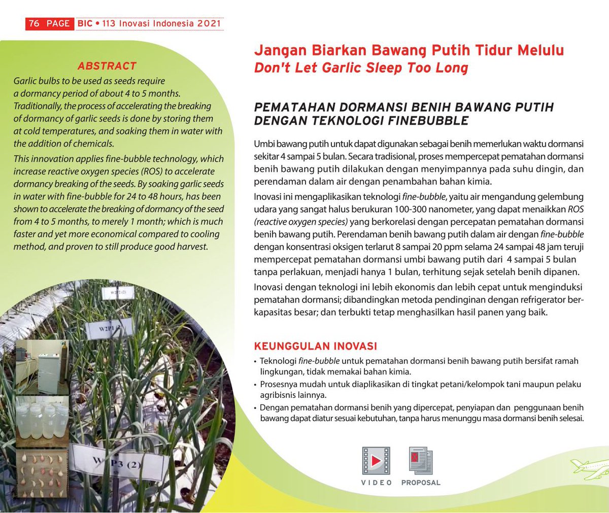 InfoBIC's tweet photo. Jangan Biarkan Bawang Putih Tidur melulu. Dengan teknologi finebubble dormasi bawang putih sekarang lebih cepat. https://t.co/iSYGhSb1SO https://t.co/tX1dSrTYJL