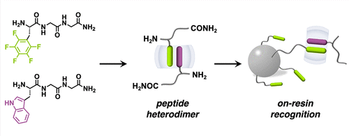 Innov_Materials's tweet photo. JACS online:

On-#Resin Recognition of Aromatic #Oligopeptides and #Proteins through Host-Enhanced #Heterodimerization

@J_A_C_S @isciverse @CHNSci
#Chemistry #Science #Catalysis #technology

https://t.co/OQEA2PLTpC https://t.co/kWAT86tI4V