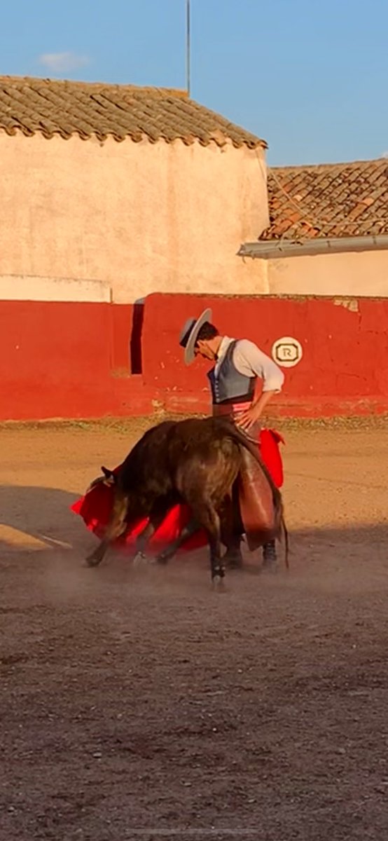 Volver a coincidir con un torero, con un amigo.
<a href="/AntonCortesV/">Antón Cortés</a> 
#campo #alimentarelalma #toreo #arte #pasion
