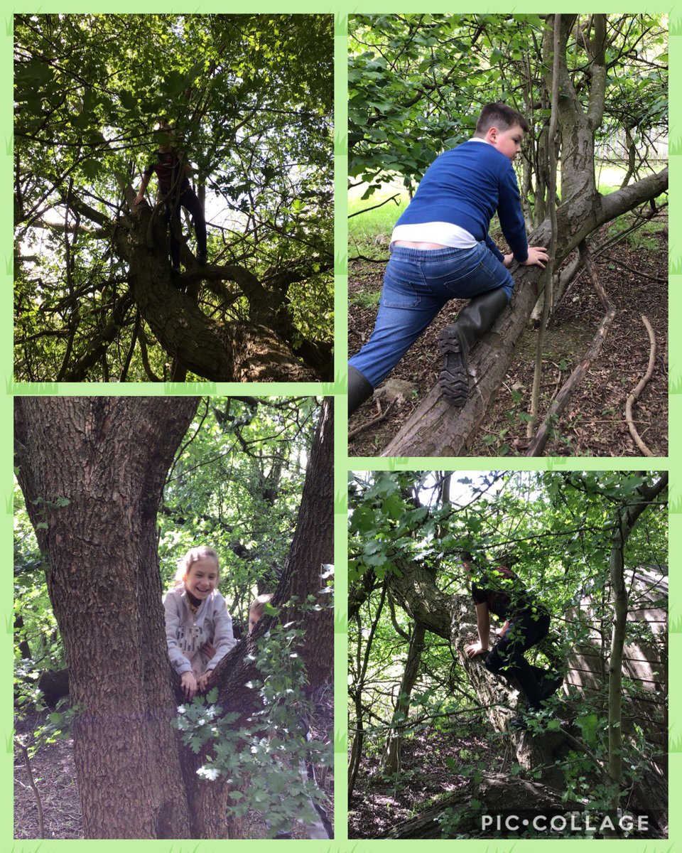 CatcliffePS's tweet photo. Another great forest school after-school club! No sign of the deer today, so we went into the woodland area and practised lots of tree climbing! We also planted some ivy against the fence, built dens, played with mud and relaxed in the hammock! #forestschool #gardening #spring https://t.co/903zlv0eHd